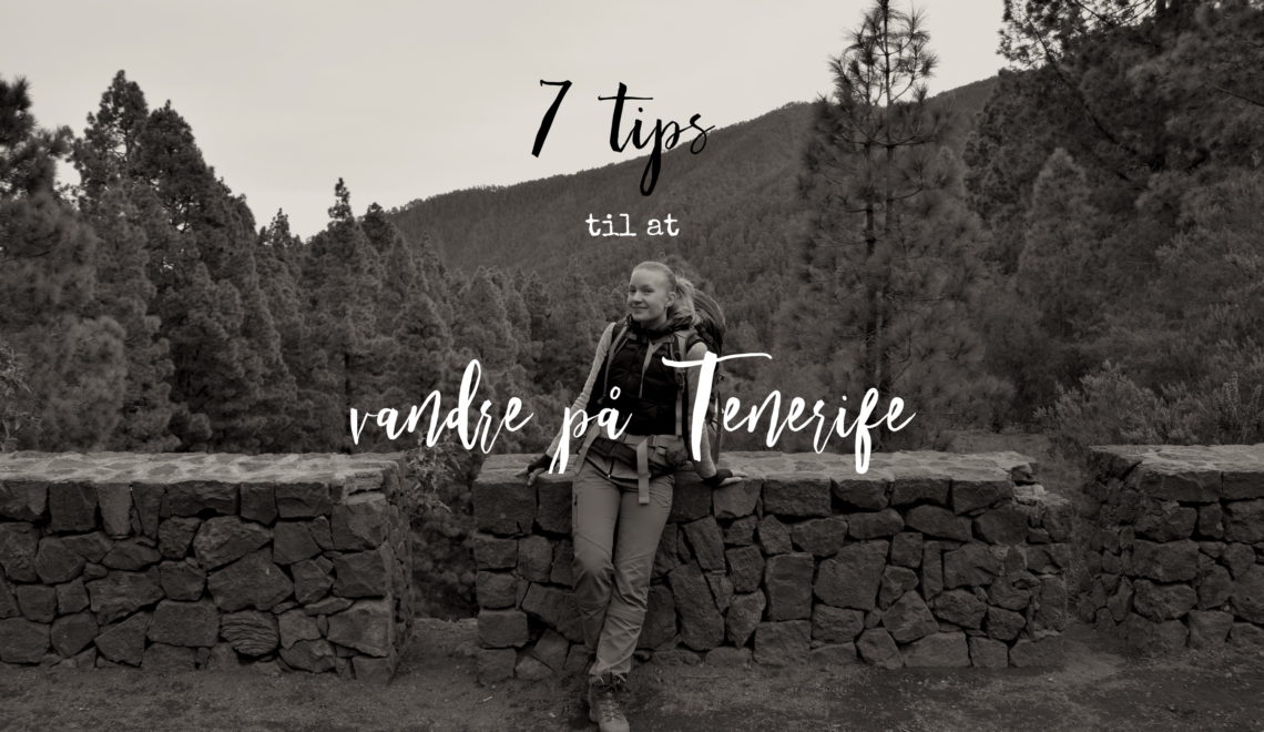 7 tips til at vandre på Tenerife