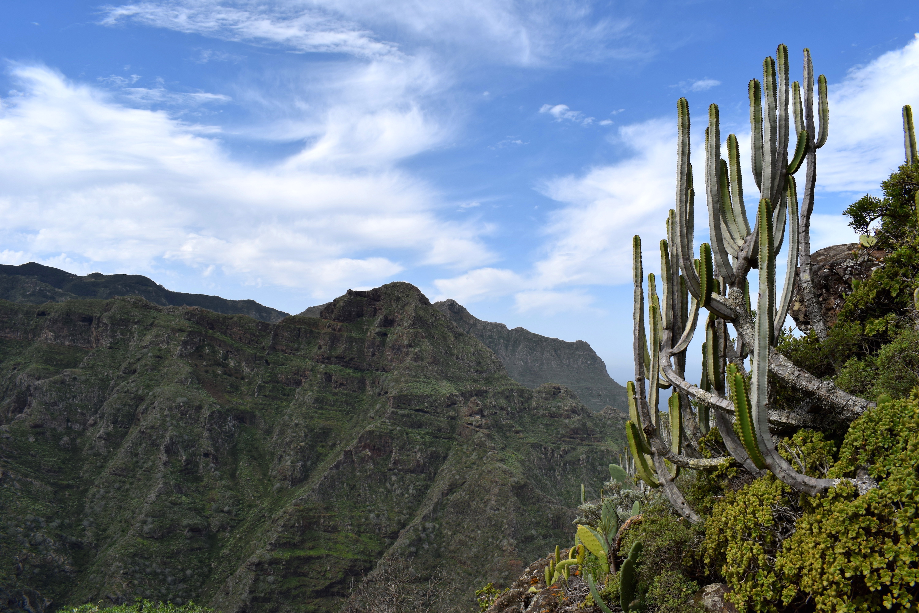 Vandreferie på Tenerife: 6 dage med rygsæk og telt