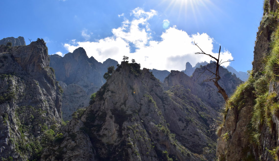 Vandring i Picos de Europa