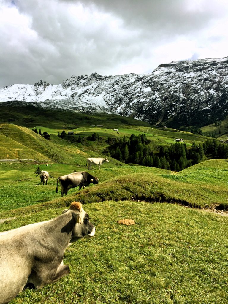 Alpe di Suisu