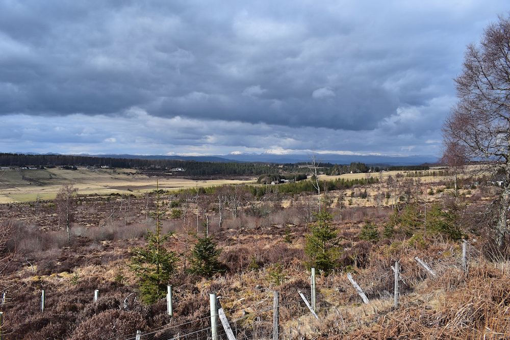 Great Glen Way Drumnadrochit - Inverness 