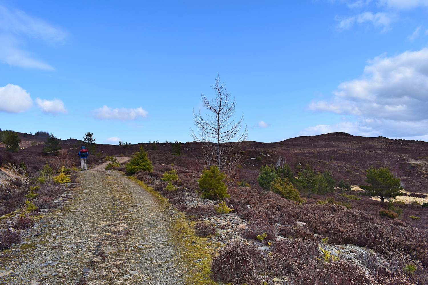 Great Glen Way Drumnadrochit - Inverness