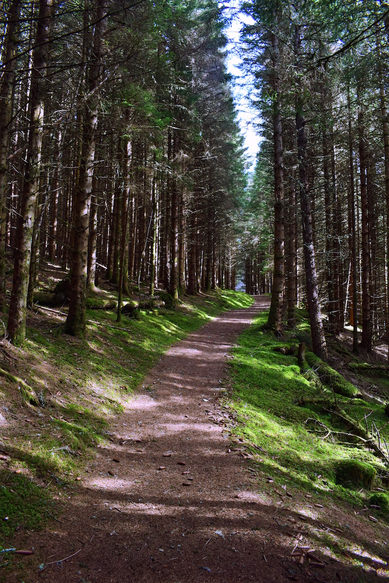 Great Glen Way Drumnadrochit - Inverness