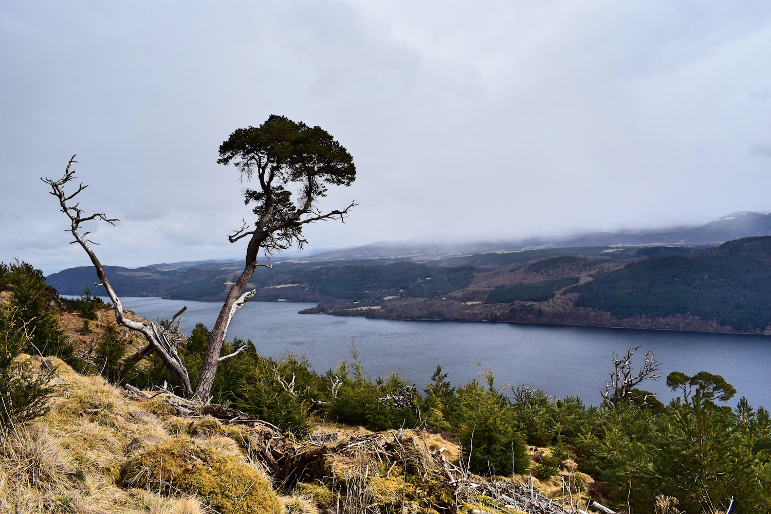 Great Glen Way Invermoriston - Drumnadrochit