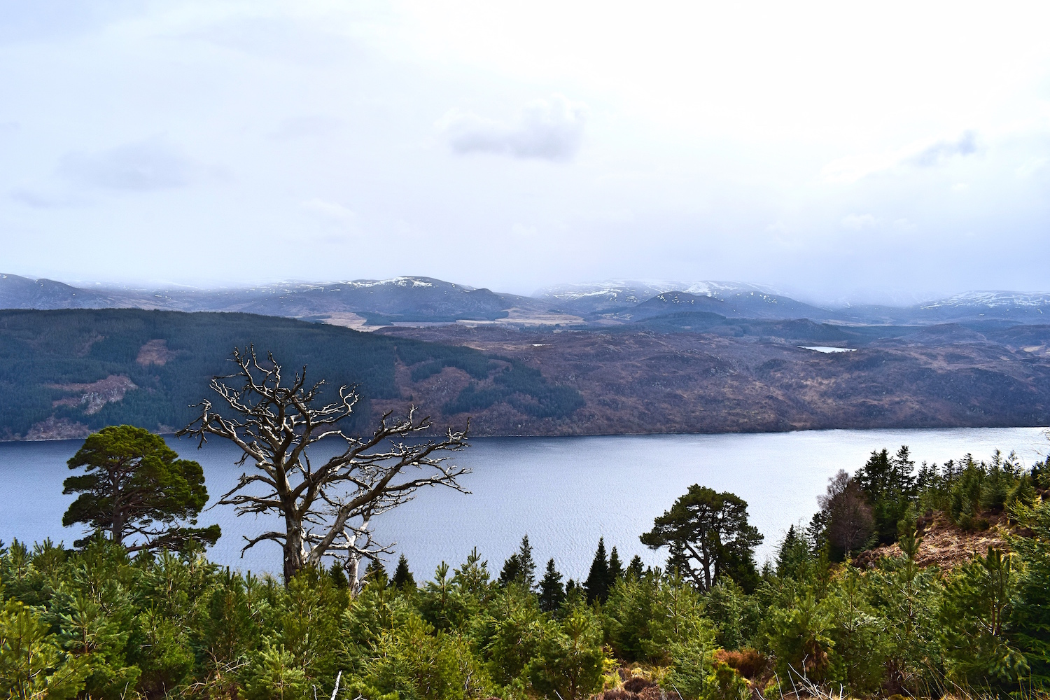 Great Glen Way Invermoriston - Drumnadrochit