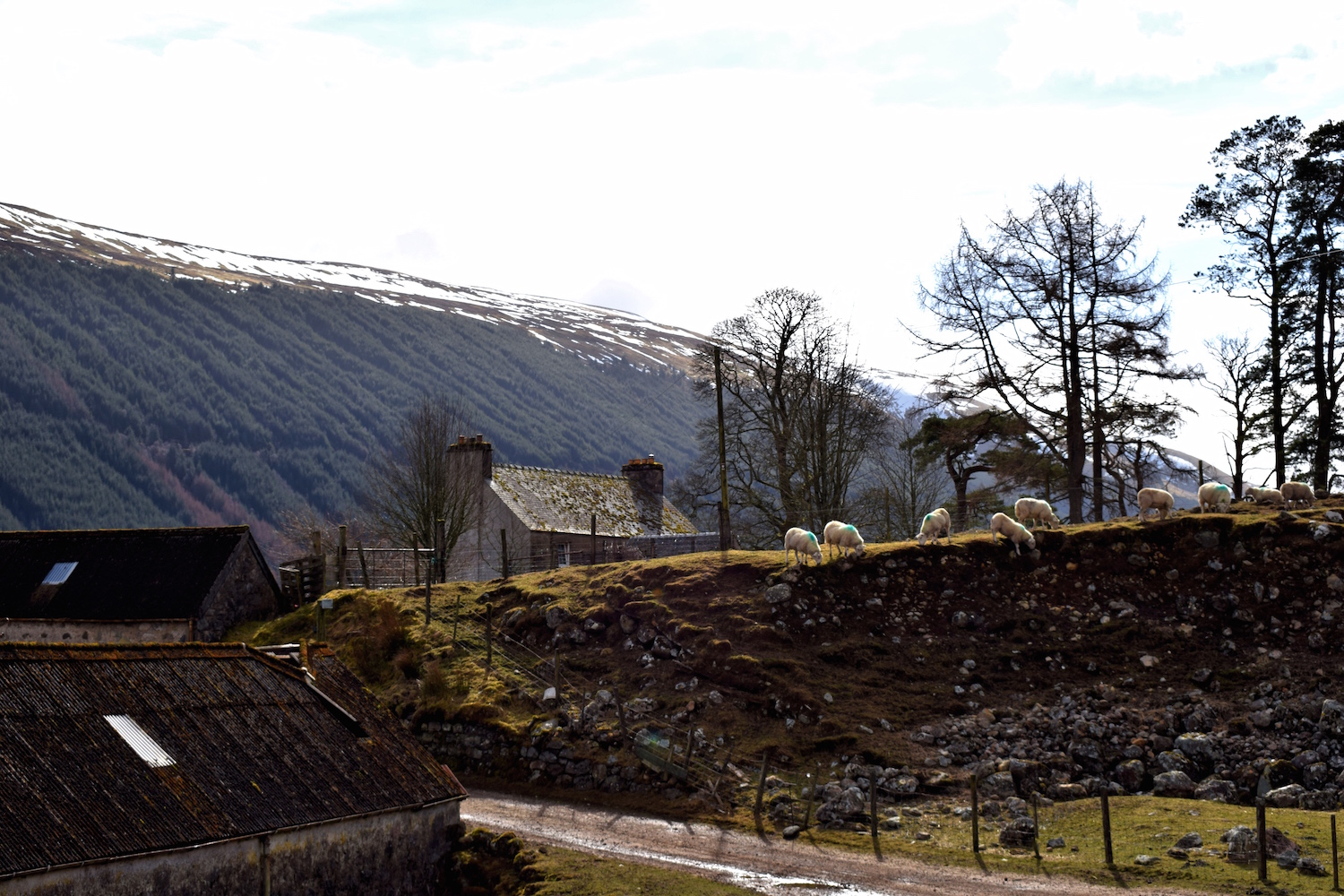 Great Glen Way Kilfinnan