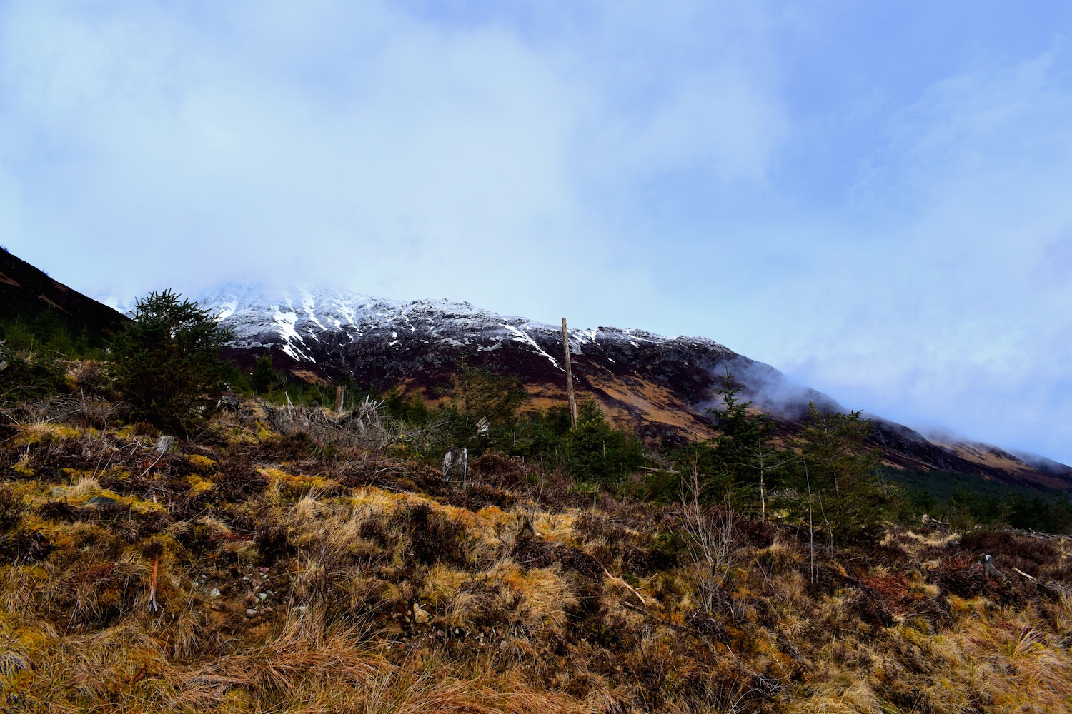 Great Glen Way Gairlochy - Laggan