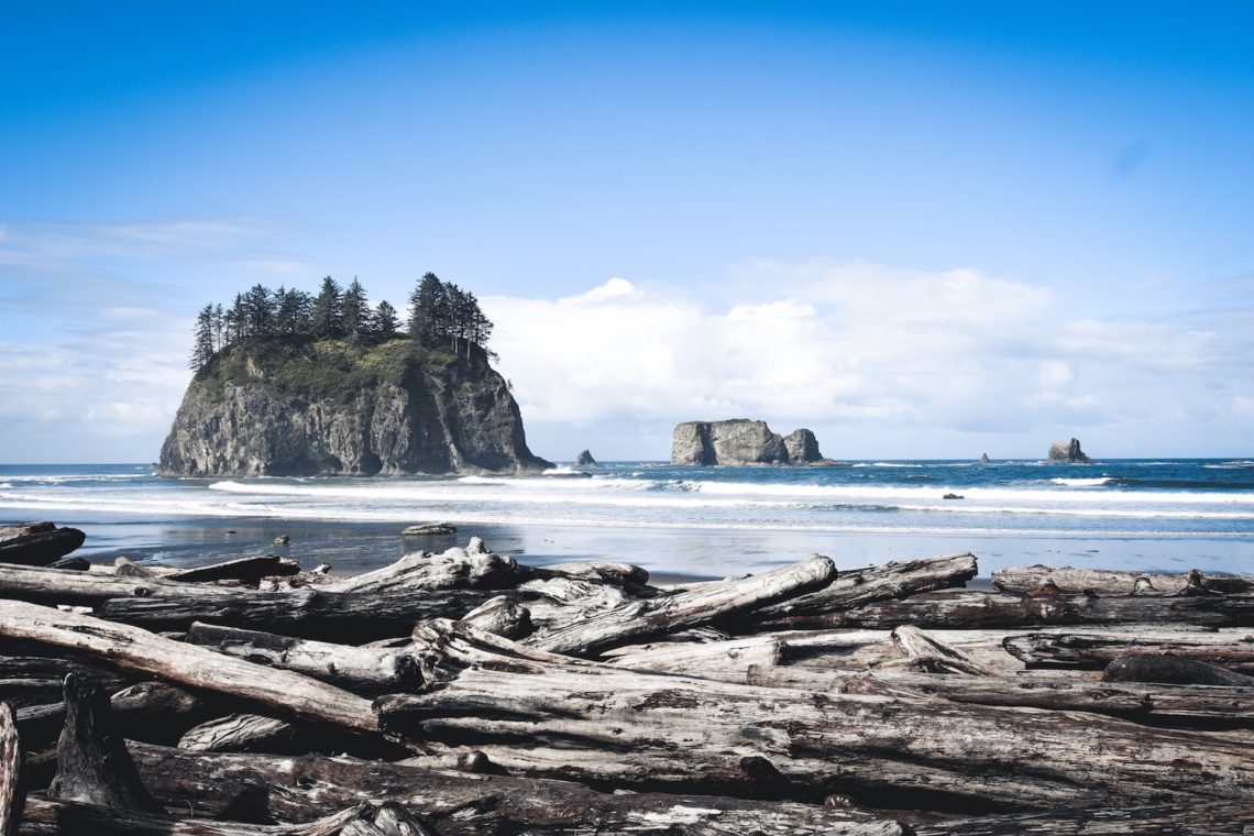 Guide til Olympic National Park Second Beach