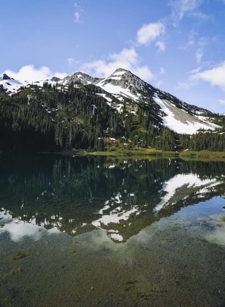 Guide til Olympic National Park