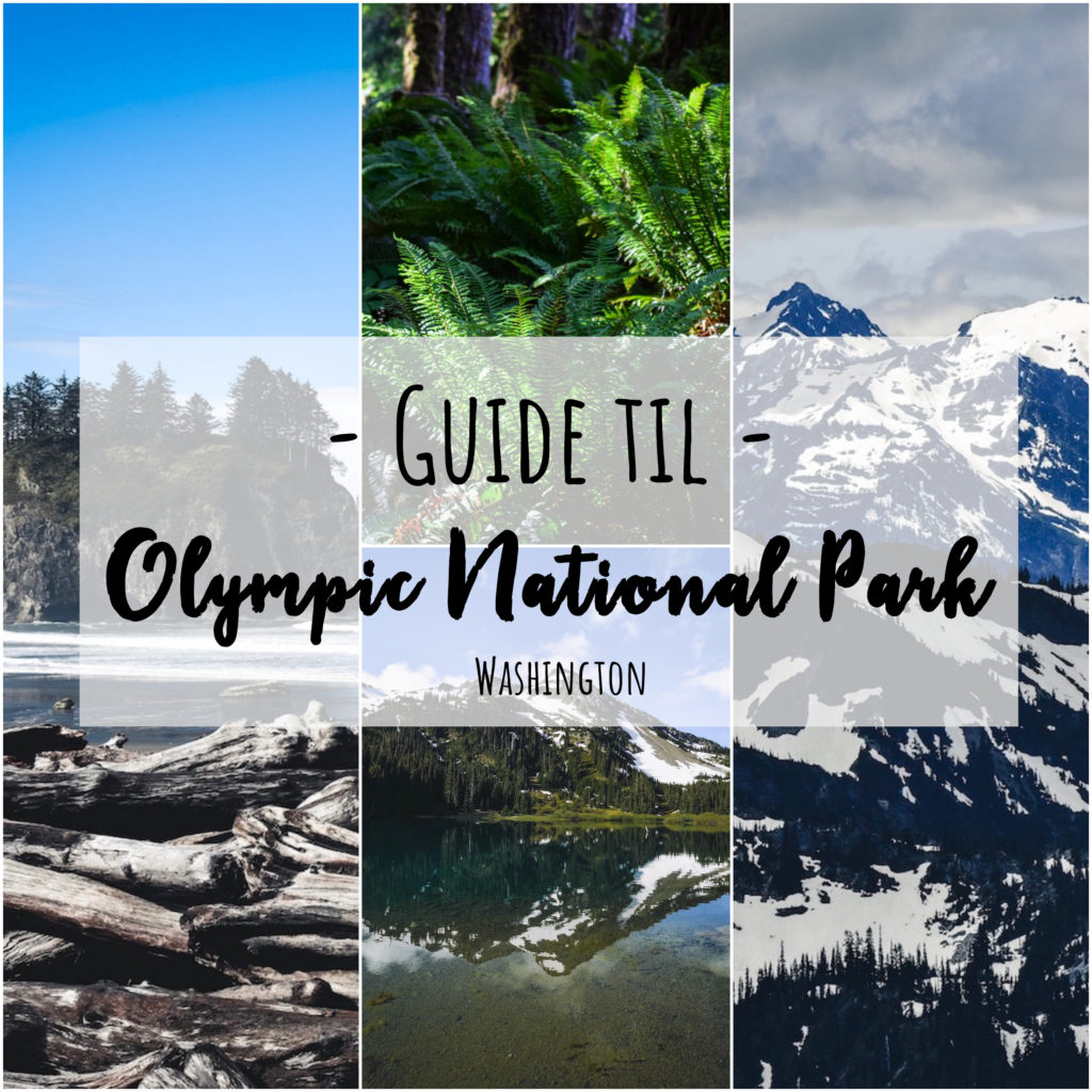 Guide Til Olympic National Park Hike My Heart Out En Blog Om At Vandre