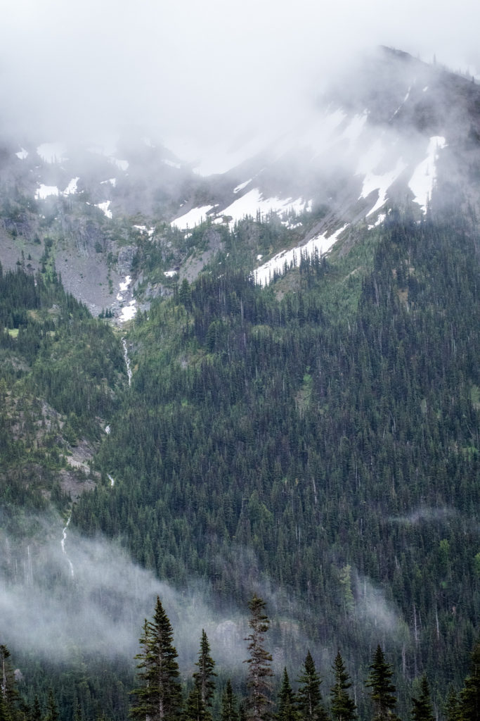 Moose Lake hike