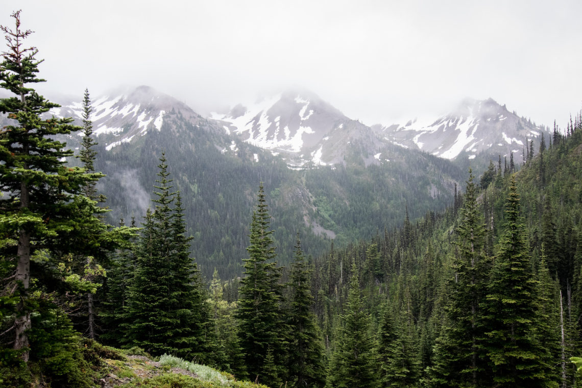 Moose Lake hike