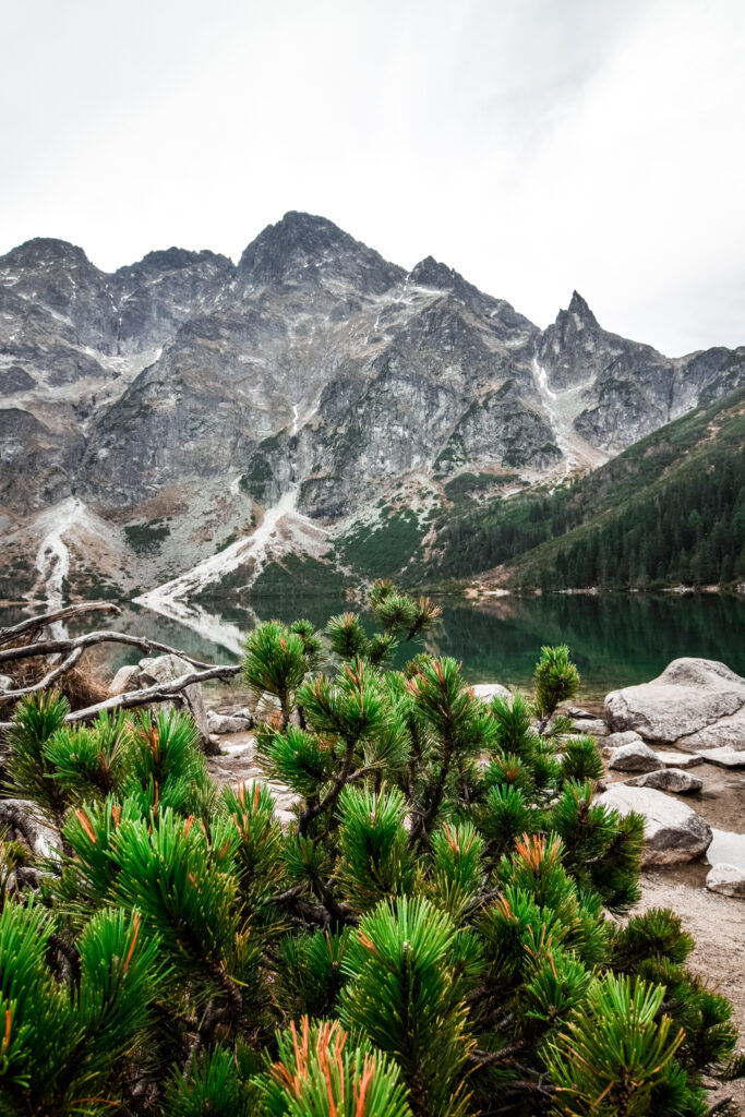 Morskie Oko Polen