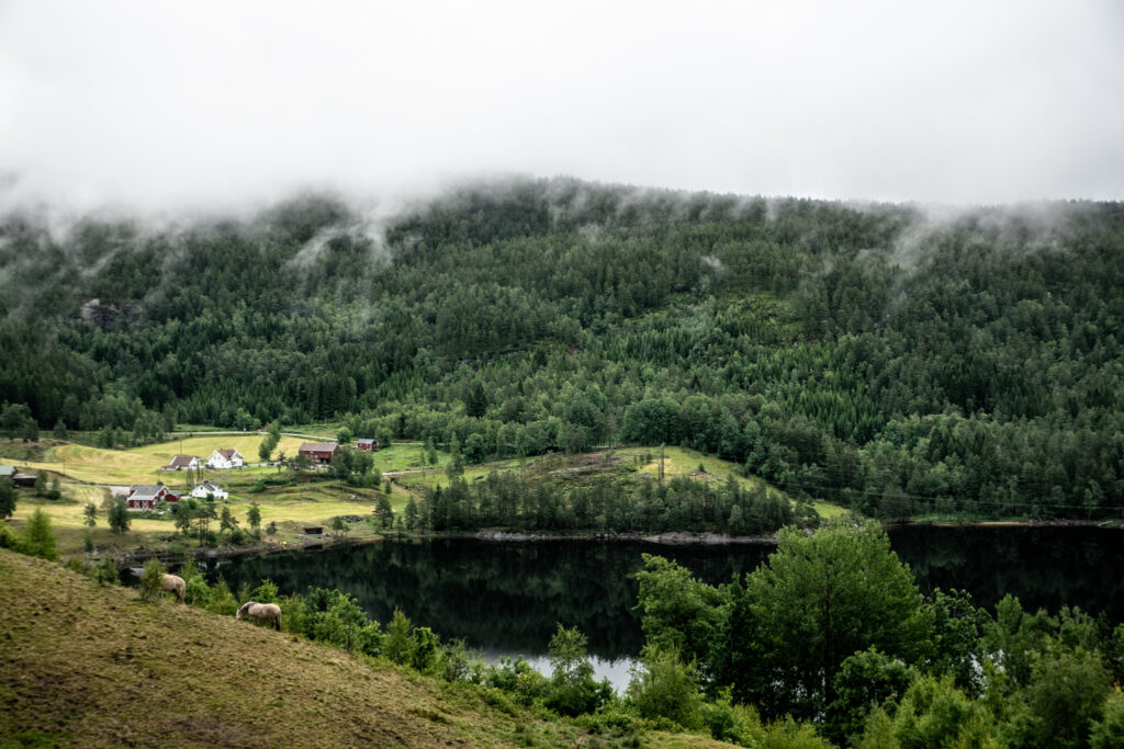 Udsigt fra Eikerapen Gjestegard