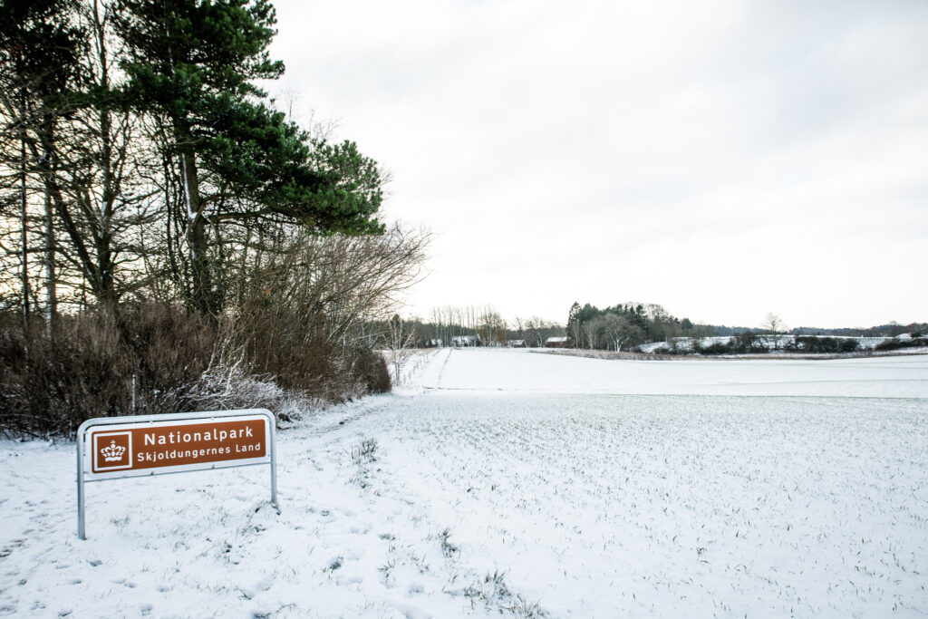 Vandretur i Bidstrup Skovene 