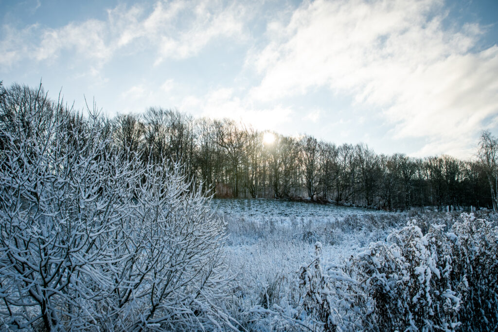 Vandretur i Bidstrup Skovene