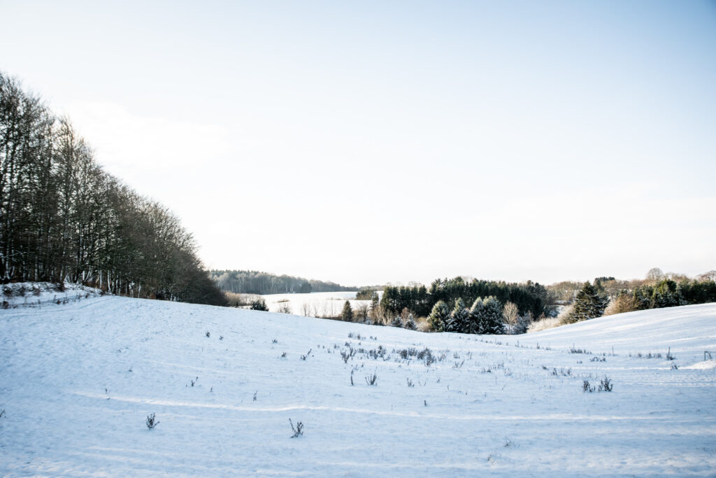 Vandretur i Bidstrup Skovene