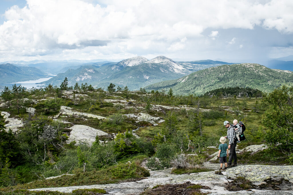 Vandretur til Venelifjell