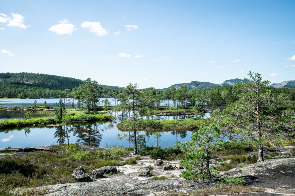 Vandretur til Paradisbukta i Nissedal