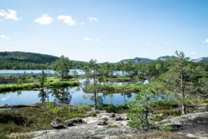 Vandretur til Paradisbukta