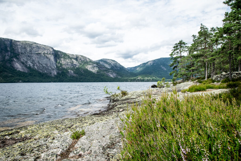 Vandretur til Røyrodden