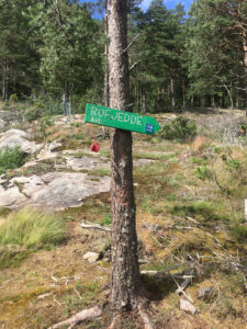 Vandretur til Rofjellet