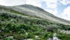 Vandretur til Gaustatoppen