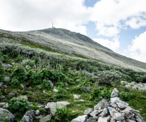 Vandretur til Gaustatoppen