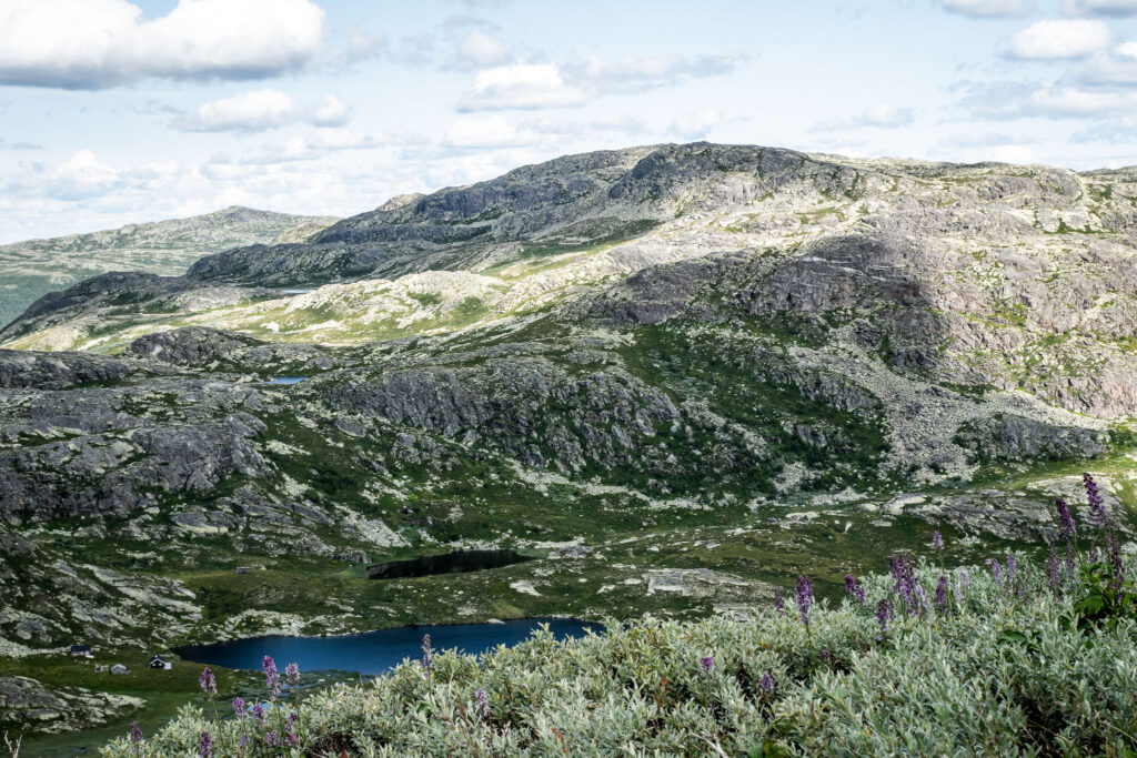 Smukke omgivelser, da vi kommer ned under trægrænsen på vandretur til Gaustatoppen med børn