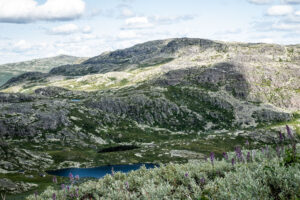 Smukke omgivelser, da vi kommer ned under trægrænsen på vandretur til Gaustatoppen med børn