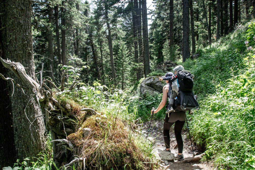 Vores vandretur til Olpererhütte starter op gennem frodig skov